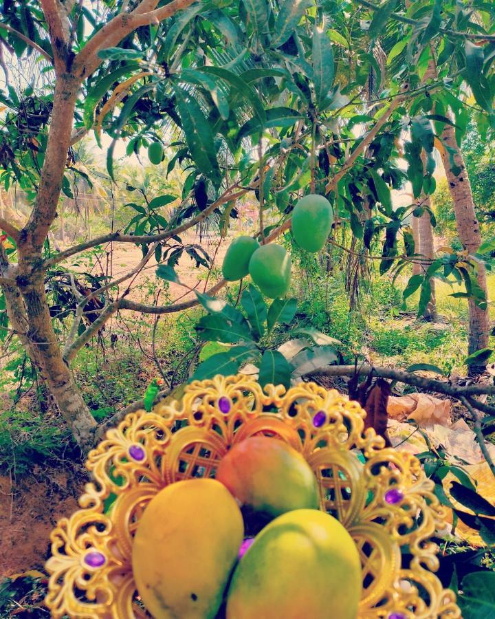 The Big Pineapple Estate Villa Udupi Exterior foto